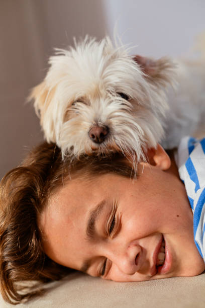 istock Boy  cuddle with his dog at home 1950391762