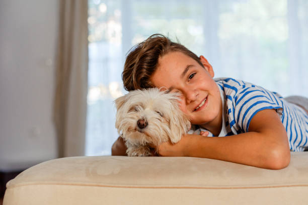 istock Boy  cuddle with his dog at home 1950394446
