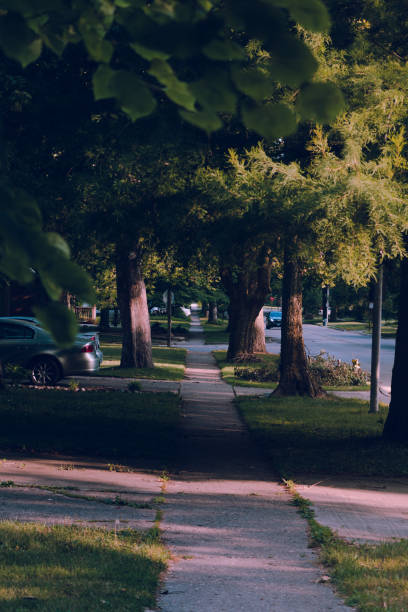istock Tranquil road surrounded by lush trees with a few cars gracefully gliding along its smooth surface 1950394996