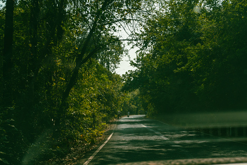 Cyclists riding on a forest road as seen through a car window