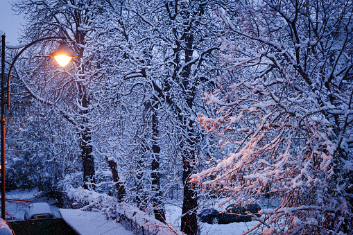 Calm winter evening in the city.