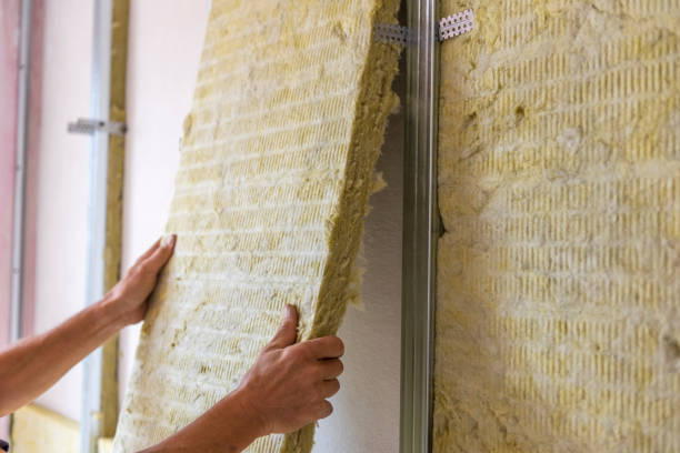 istock Worker insulating a room wall with mineral rock wool thermal insulation. 1950467457