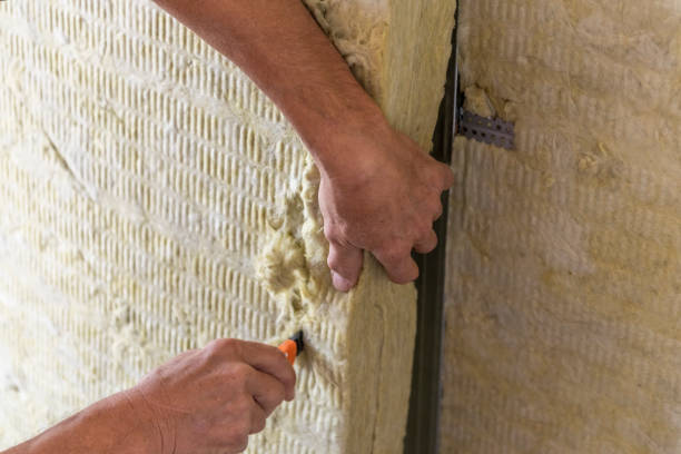 istock Worker insulating a room wall with mineral rock wool thermal insulation. 1950468000