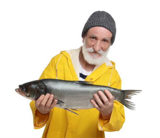 istock Fisherman with caught fish isolated on white 1950527837