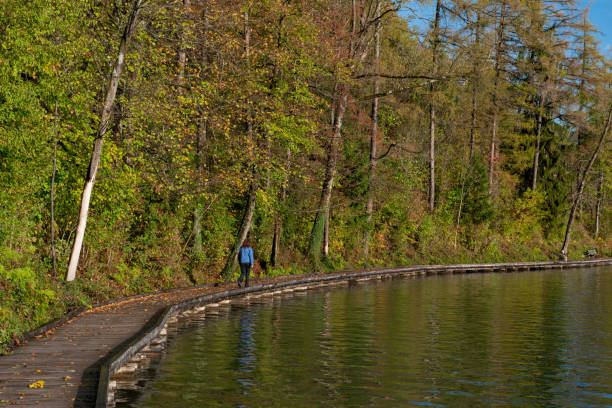 Bled lake in the morning autumn