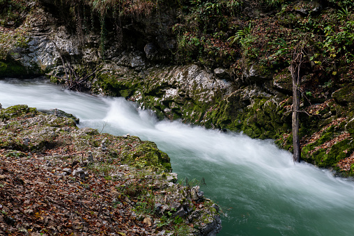 Waterfall In Spring, Vintgar Slovenia
