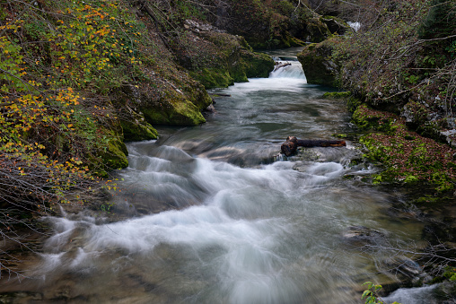 Water ripples in the stream