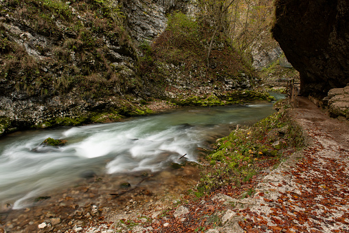 Waterfall In Spring, Vintgar Slovenia