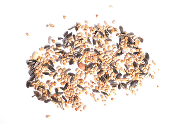 Table seed bird food mix cut out on a white background