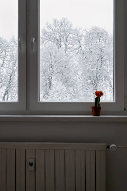 istock Winter outside, heating season 1950569559