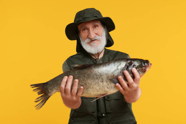istock Fisherman with caught fish on yellow background 1950574318