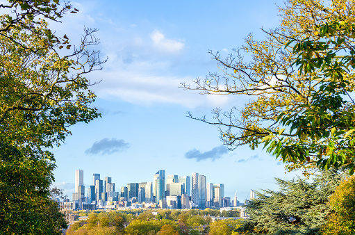 London, England - October 31, 2021: Distant view of the Canary Wharf skyline viewed from Greenwich Park in autumn