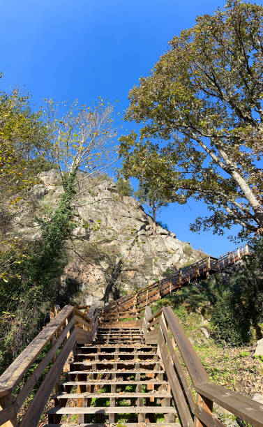 istock Starways on the Corgo River valley walkways 1950611051