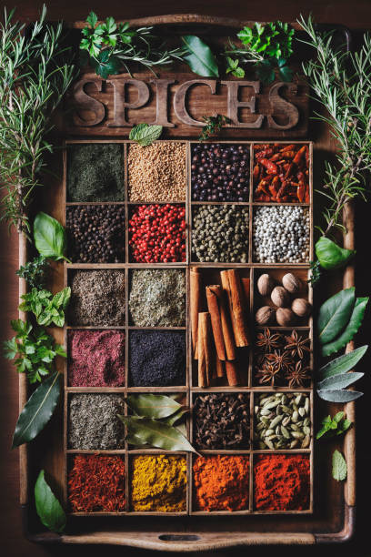 Collection  of different spices and herbs