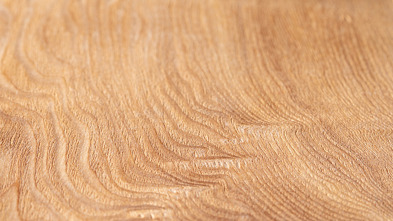 Detailed close-up of oak wood showcasing an abstract high-contrast natural background, with prominent textures and patterns, perfect for design and decor concepts.