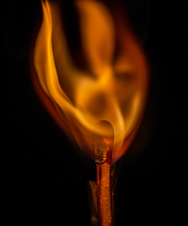 A macro photograph of a match just after being lit.