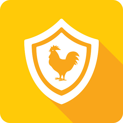 Vector illustration of a shield with rooster icon against a yellow background in flat style.