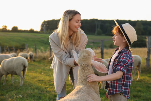 istock Mother and son with sheep on pasture. Farm animals 1950693949