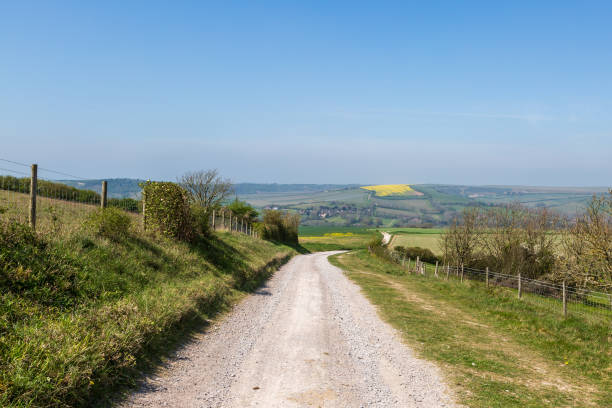 istock Looking along a chalk pathway in the South Downs, on a sunny spring morning 1950697777