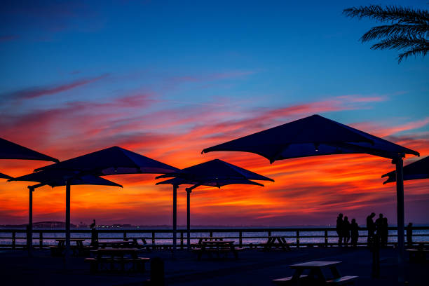 Park on the coast of South Padre Island at sunset. Texas, USA