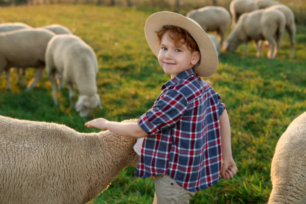 istock Boy stroking sheep on pasture. Farm animals 1950708315