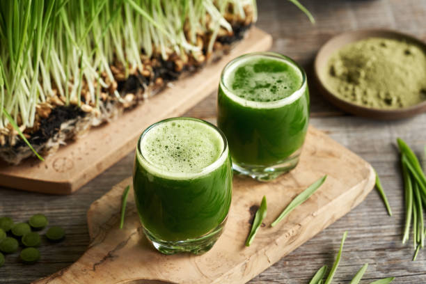 istock Fresh green barley grass juice with homegrown blades 1950719143