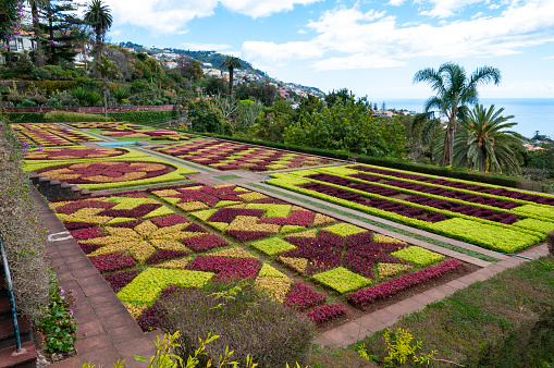 The stunning Botanical Gardens of Funchal