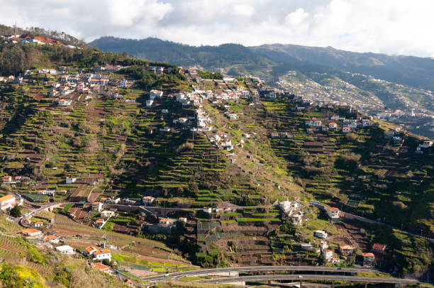 istock Mountains of Madeira 1950817279