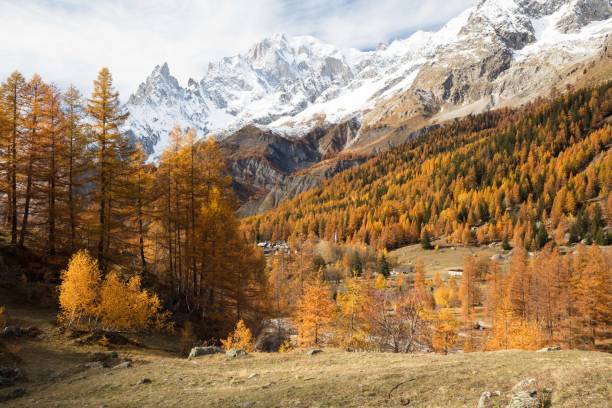 istock Val Ferret and the Mont Blanc massif in autumn. 1950832943