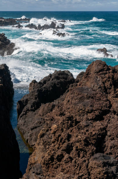 istock Rock pools of Madeira 1950838848