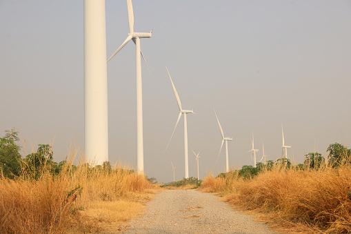 windmill or Wind Turbine farm against sun rise sky, Eco green energy, renewable energy