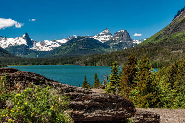 istock Sunspot Point in Glacier National Park 1950984881