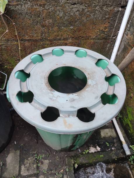 istock Close-up view of the catfish cultivation system in buckets using the 