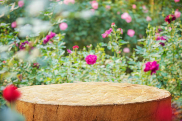 istock Empty old tree stump table top with blur rose garden background for product display 1951039544