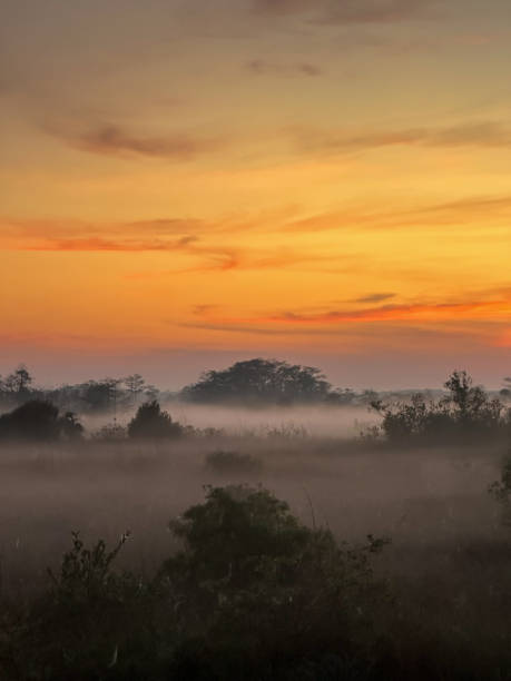 istock Brilliant Orange Sunrise Over Everglades 1951074459