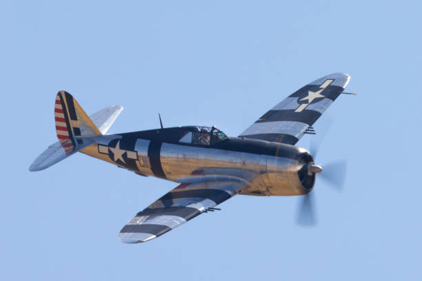 side view of a p-47g thunderbolt (wwii american fighter plane) and its “invasion stripes” - p 47 thunderbolt zdjęcia i obrazy z banku zdjęć