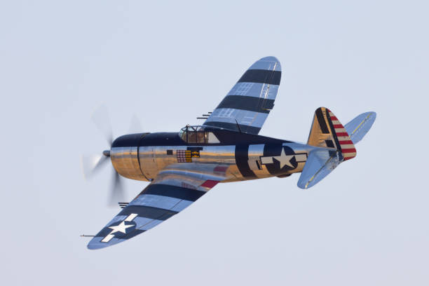 side view of a p-47g thunderbolt (wwii american fighter plane) and its “invasion stripes” - p 47 thunderbolt zdjęcia i obrazy z banku zdjęć