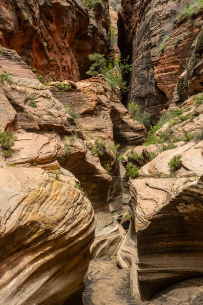 エコーキャニオンの高い壁とワインディングスロット - echo canyon ストックフォトと画像