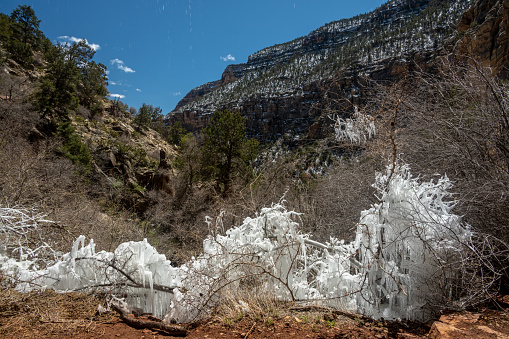 Thick Layer of Ice Covers Bushes Below Dripping Spring In Grand Canyon