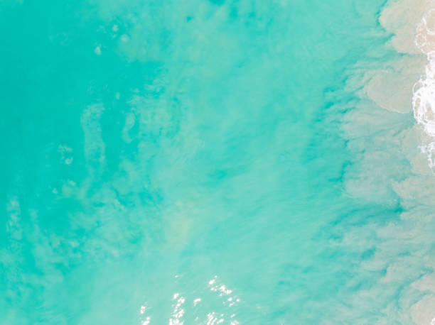 istock Top view beach with waves crashing on sandy shore,Beautiful waves sea surface in summer seascape background,Amazing beach colorful water background 1951095896