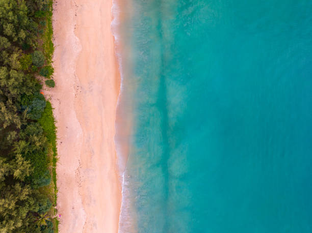 istock Bird eye view seashore with wave crashing on sandy shore. Beautiful waves sea surface in sunny day summer background, Amazing seascape top view seacoast landscape view 1951096512