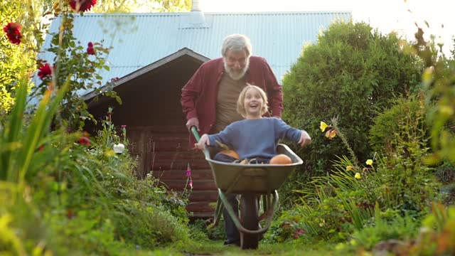 Happy preteen boy is having fun riding wheelbarrow pushed by his grandfather in home garden on warm sunny day. Friendship of child and grandparent.