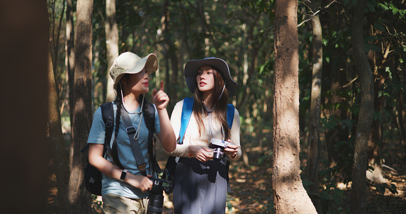 Two Young asian backpacker women walking in trail and use digital camera photography beautiful nature forest, They are talk and smile with happy together