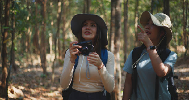 istock Two Young asian backpacker women walking in trail with digital camera in forest 1951304901