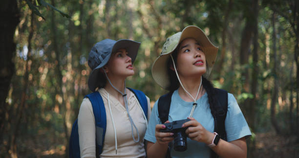 istock Two Young asian backpacker women walking in trail with digital camera in forest 1951304908