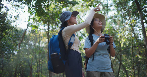 istock Two Young asian backpacker women walking in trail with digital camera in forest 1951305946