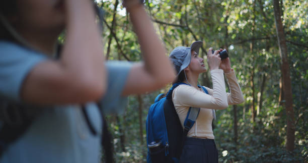 istock Two Young asian backpacker women walking in trail with digital camera in forest 1951305952