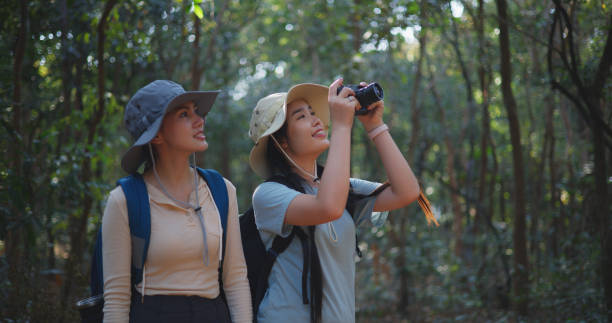 istock Two Young asian backpacker women walking in trail with digital camera in forest 1951307504