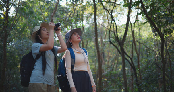 istock Two Young asian backpacker women walking in trail with digital camera in forest 1951307506