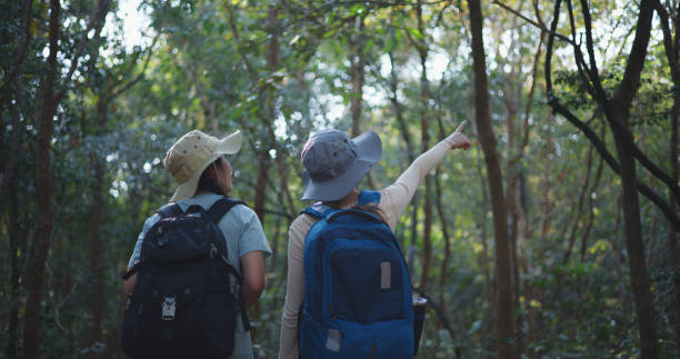 istock Two Young asian backpacker women walking in trail with digital camera in forest 1951307934